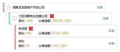 海南龍發房地產開發公司 企業信息綜合查詢與房地產咨詢指南